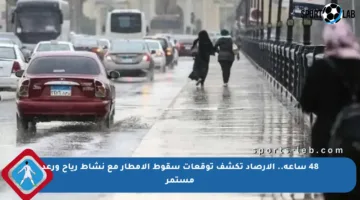 48 ساعة.. الأرصاد تكشف توقعات سقوط الأمطار مع نشاط رياح ورعد مستمر
